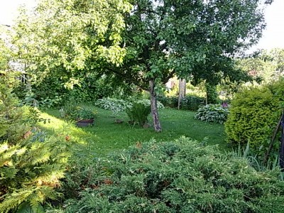 30062011486.jpg