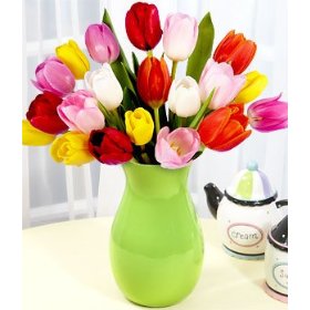 Tulip.jpg