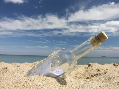 shutterstock_1806655.jpg