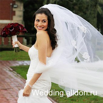 alldon_halfuphair5.jpg