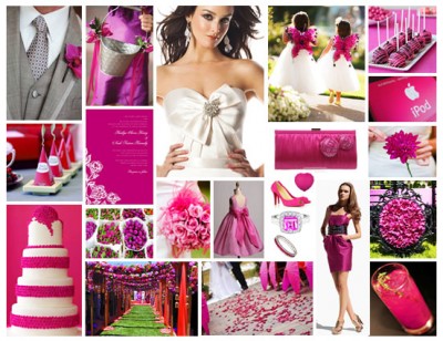 Fuksia_1.jpg