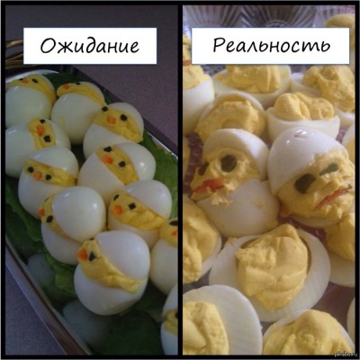 ожидание-vs-реальность-цыплята-еда-песочница-751910.jpeg