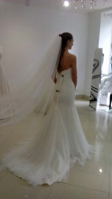 IMG_20160130_122331-240x427.jpg