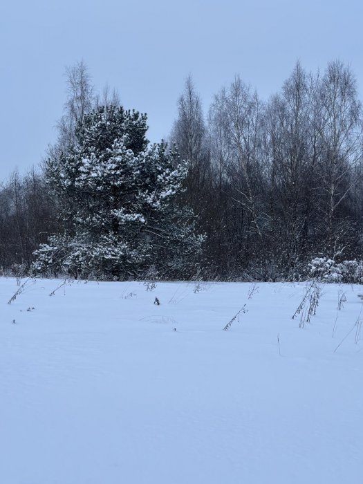АГРОУСАДЬБА АЛЬТАНКА - Территория - фото 28