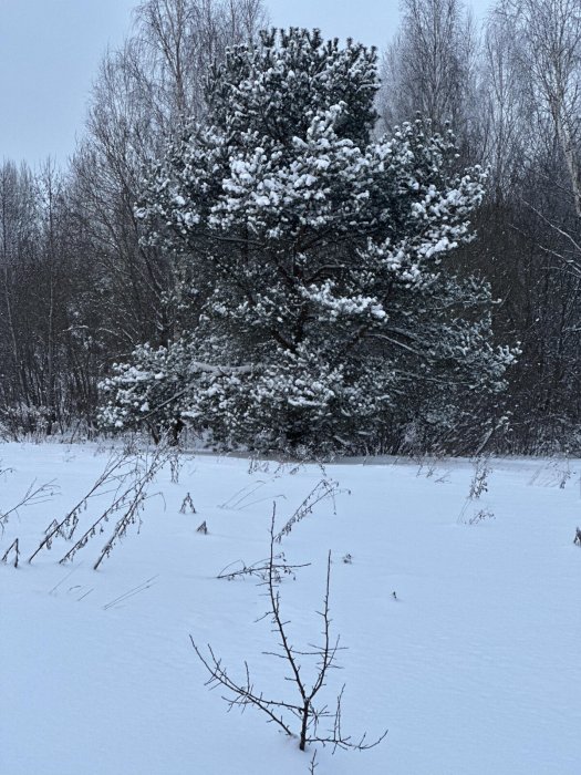 АГРОУСАДЬБА АЛЬТАНКА - Территория - фото 29