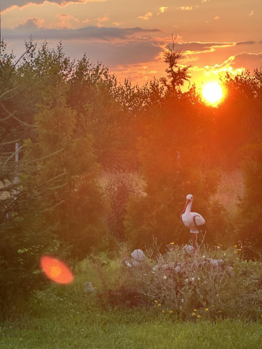 АГРОУСАДЬБА АЛЬТАНКА - Территория - фото 27