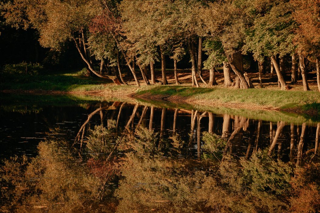 Усадьба Богдановичей  «Двор Стайки» - Территория - фото 6