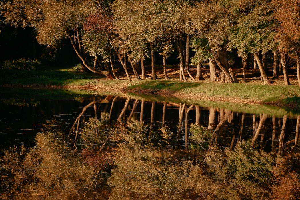 Усадьба Богдановичей  «Двор Стайки» - Территория - фото 6