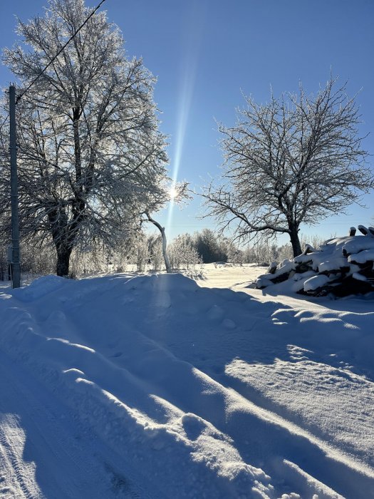 АГРОУСАДЬБА АЛЬТАНКА - Территория - фото 33