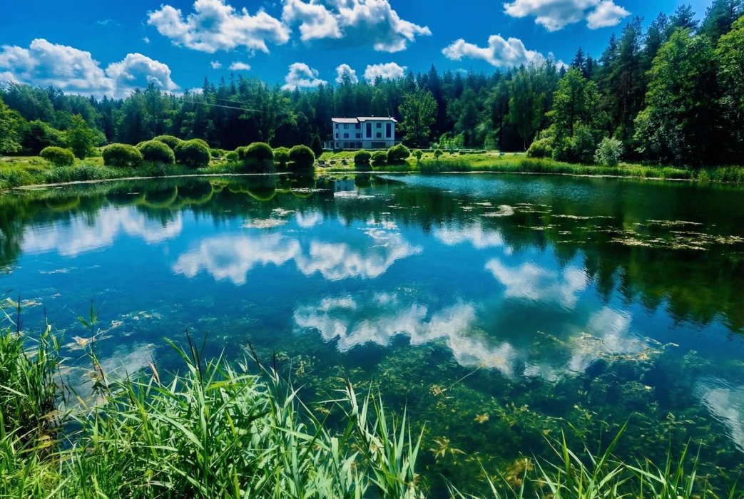 "Хутор у Ислочи" - Выездная регистрация и территория - фото 11