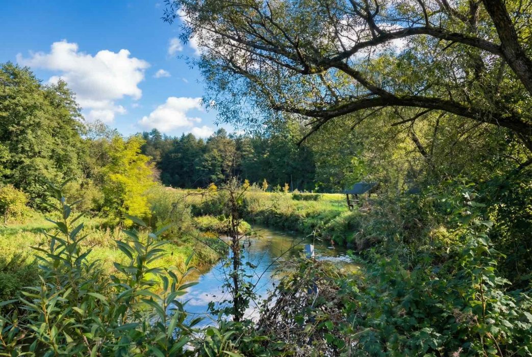 "Хутор у Ислочи" - Выездная регистрация и территория - фото 12