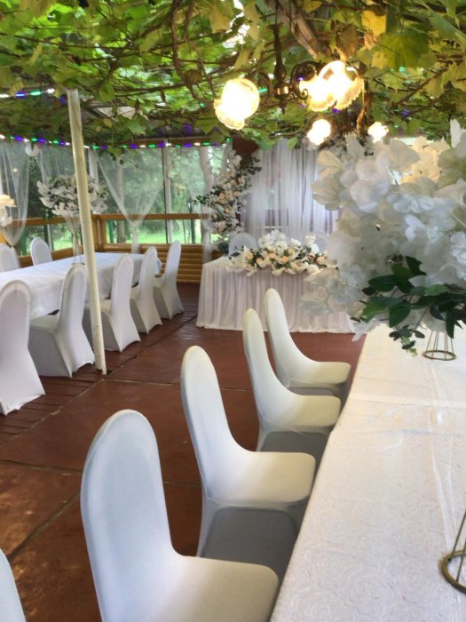 Усадьба  "Ельница" - ФОТОГАЛЕРЕЯ - фото 1