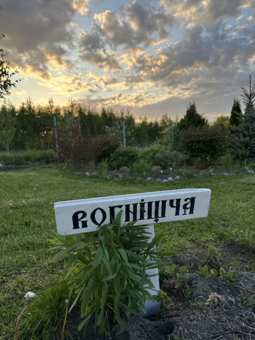 АГРОУСАДЬБА АЛЬТАНКА - Территория - фото 9