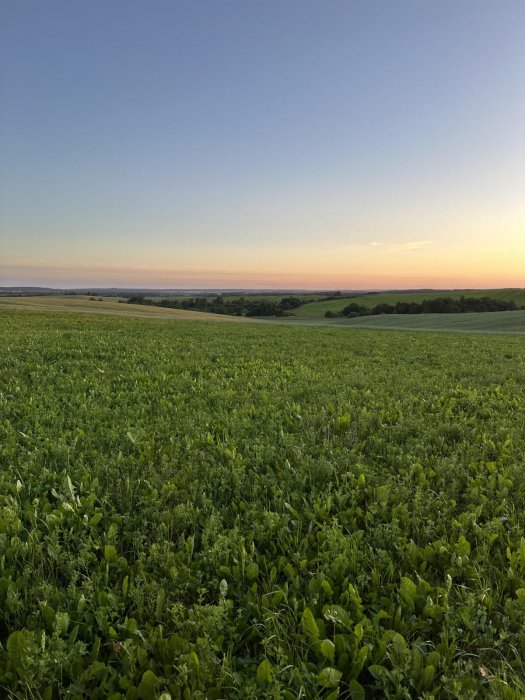 АГРОУСАДЬБА АЛЬТАНКА - Территория - фото 11